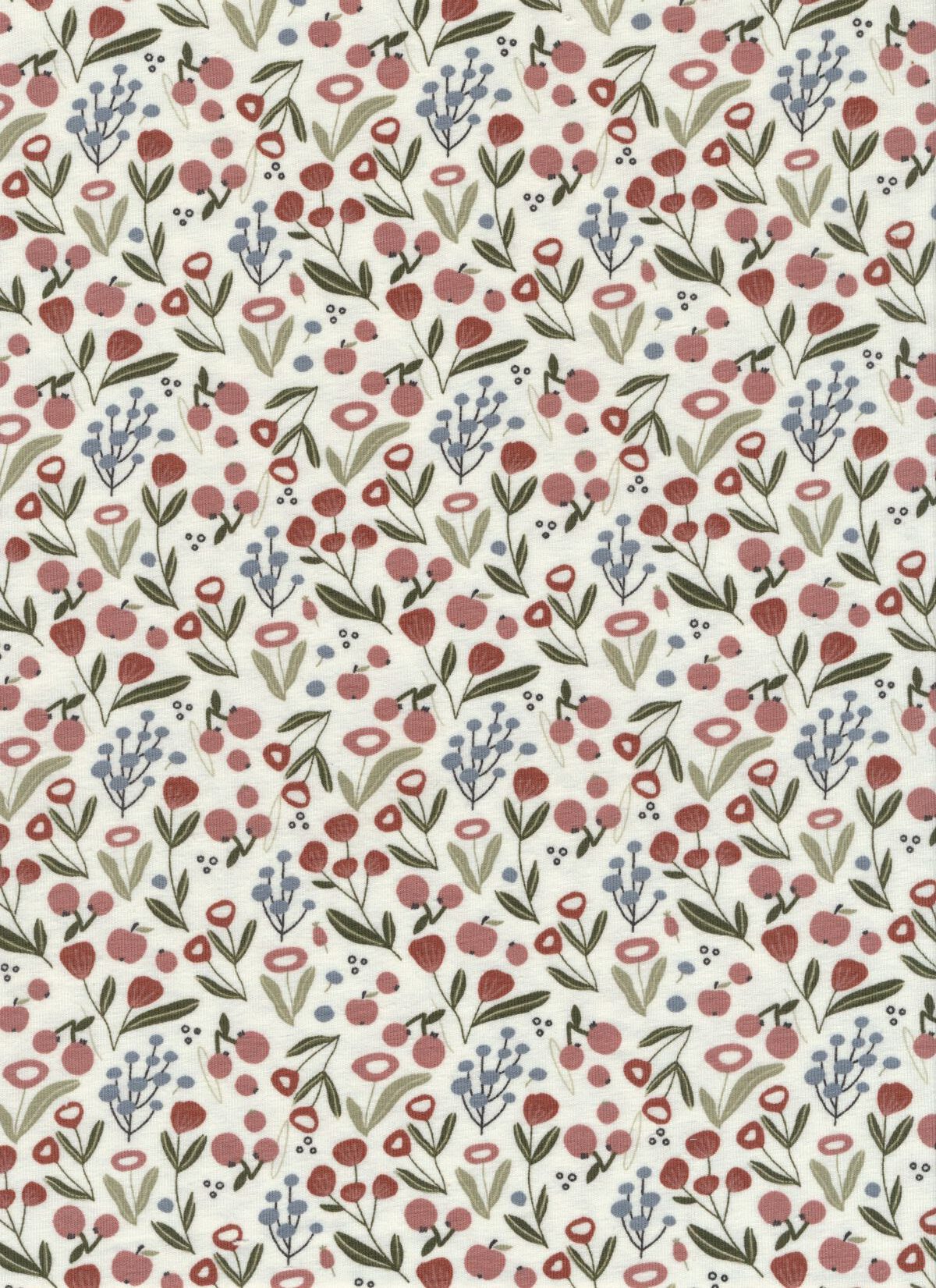 Baumwoll Jersey Blüten, Äpfel, Kirschen