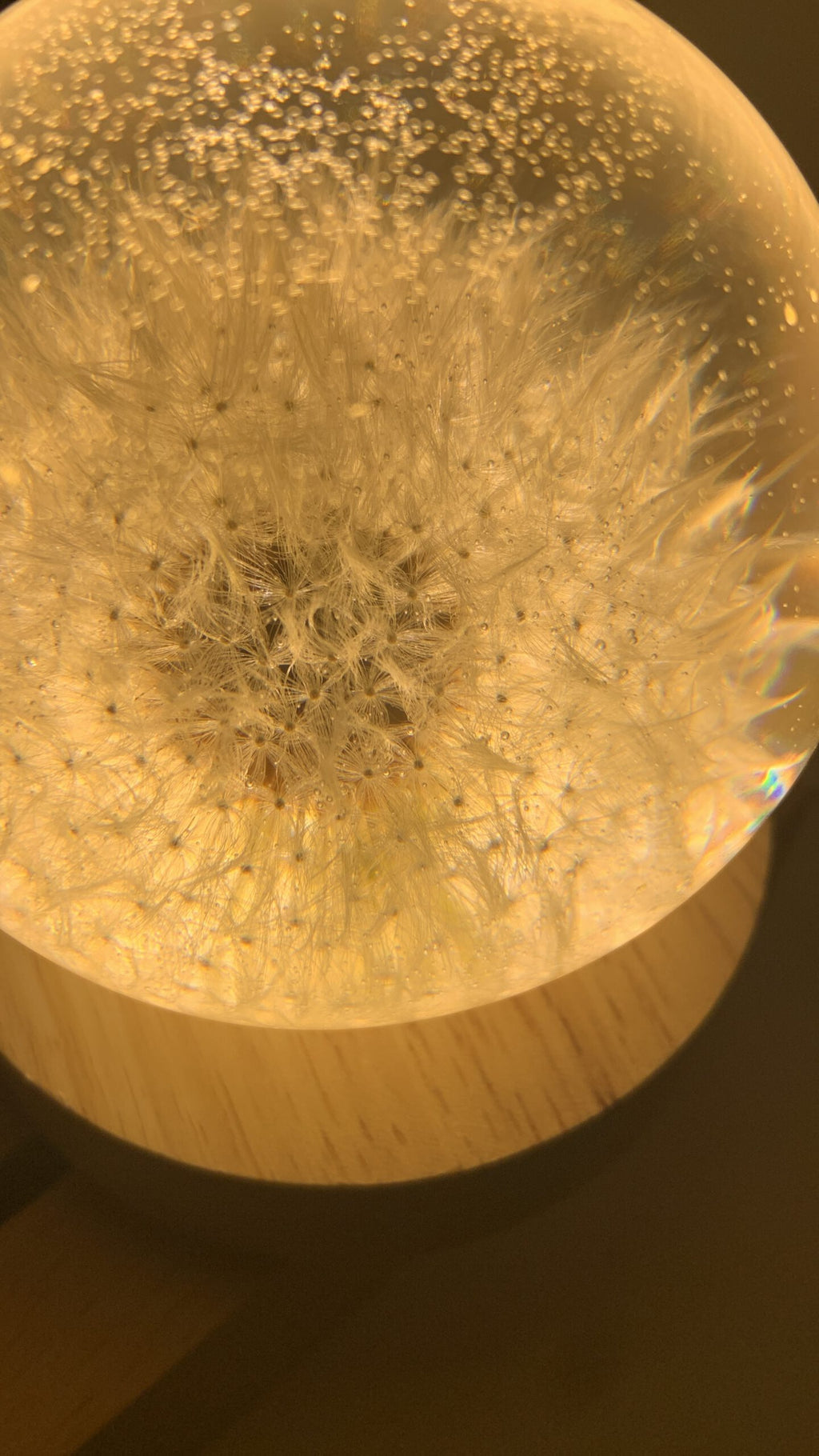 Kaufe bei AlpArtig ein wunderschönes Einzelstück eine Pusteblume Lampe