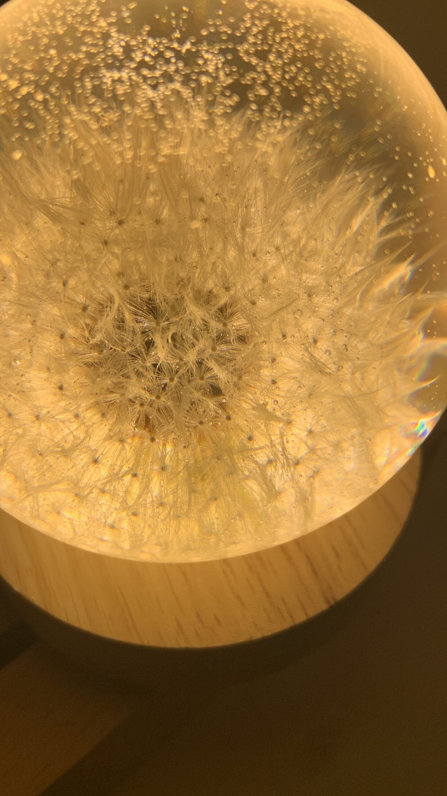 Kaufe bei AlpArtig ein wunderschönes Einzelstück eine Pusteblume Lampe